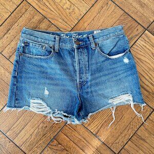 Free People "We The Free" Women's Distressed Blue Denim Shorts Size 30